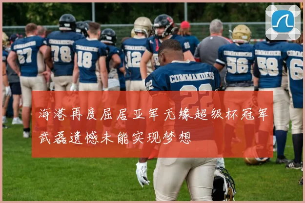 海港再度屈居亚军无缘超级杯冠军武磊遗憾未能实现梦想