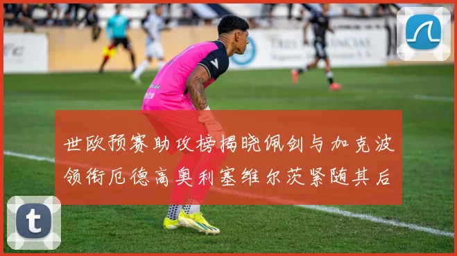 世欧预赛助攻榜揭晓佩剑与加克波领衔厄德高奥利塞维尔茨紧随其后