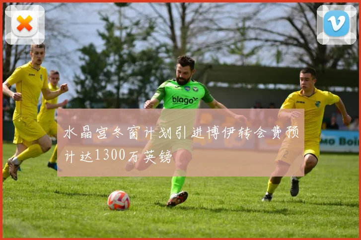水晶宫冬窗计划引进博伊转会费预计达1300万英镑