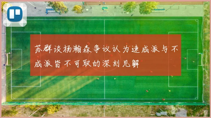 苏群谈杨瀚森争议认为速成派与不成派皆不可取的深刻见解