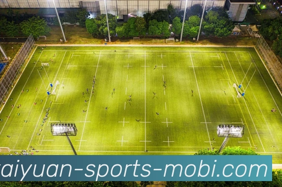 开元体育发展历程